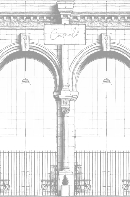 fondo de cameló trazado con lápiz